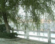 商城天气预报10天