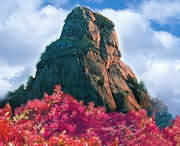 汝阳天气预报一周