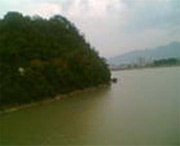 桐庐天气预报40天