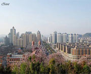 慈溪天气预报15天