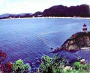 玉环天气预报15天