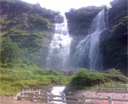 泰顺天气预报40天