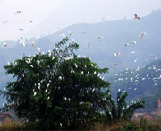 龙泉天气预报10天
