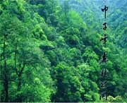 庆元天气预报10天