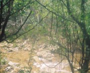 开化天气预报40天