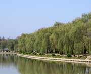 阜南天气预报一周