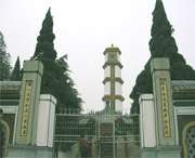 利辛天气预报10天