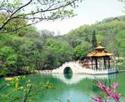 琅琊天气预报40天