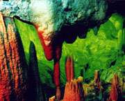 无为天气预报10天