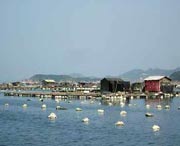 连江天气预报10天