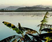 柘荣天气预报10天