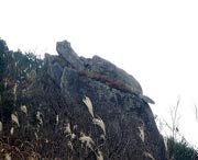 松溪天气预报一周