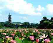 石城天气预报一周