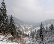 武冈天气预报40天