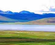 务川天气预报10天