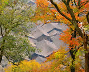 三穗天气预报一周