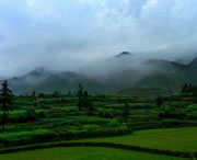 台江天气预报10天
