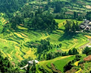 思南天气预报一周