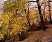 盘县天气预报40天