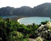 新津天气预报一周