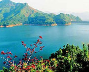 泸县天气预报一周