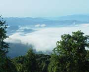 屏山天气预报一周