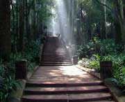 彭山天气预报一周