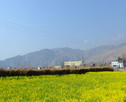 越西天气预报15天