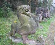 芦山天气预报一周