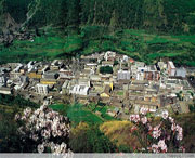 九龙天气预报15天