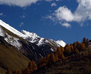 理县天气预报10天