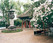 黑水天气预报一周