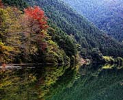 南雄天气预报10天