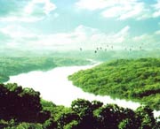 廉江天气预报10天