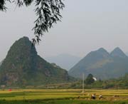 和平天气预报15天