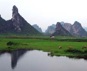 清远天气预报40天