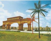 阳西天气预报10天