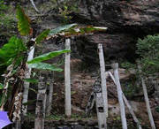 西盟天气预报10天