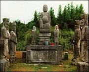 威信天气预报10天