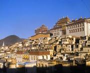 迪庆天气预报15天