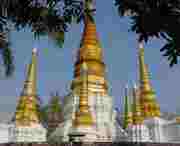 瑞丽天气预报15天