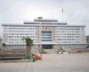 来宾天气预报10天