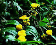 防城天气预报10天